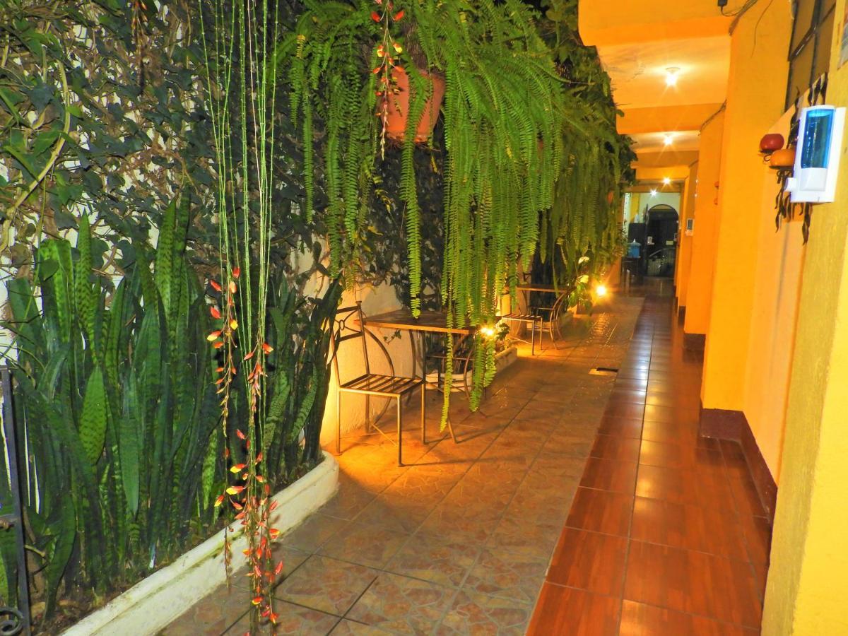 Hostal Antigua Hostel *