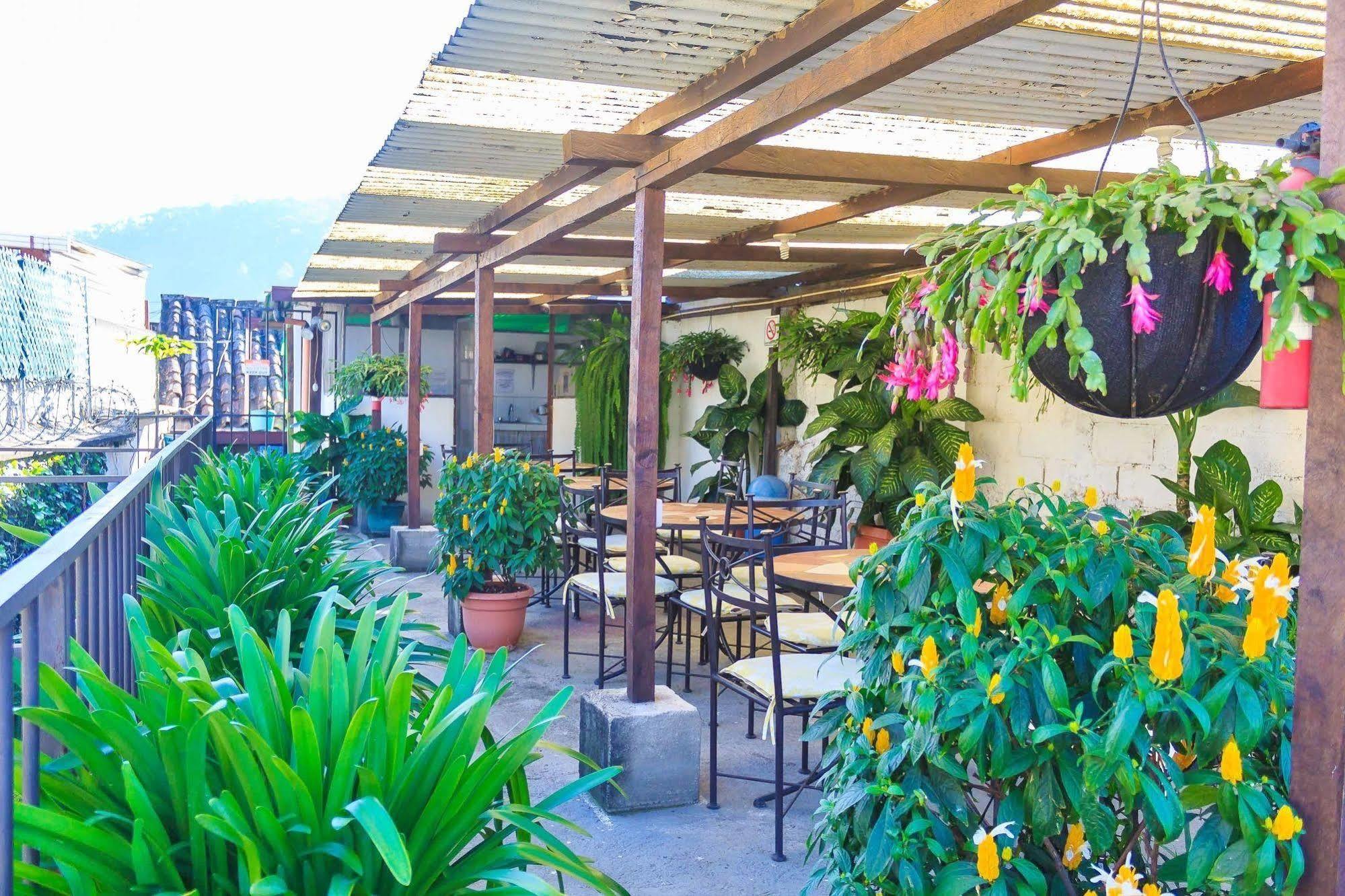 Hostal Antigua Hostel