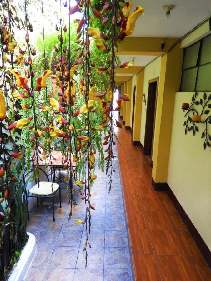 Hostal Antigua Hostel *