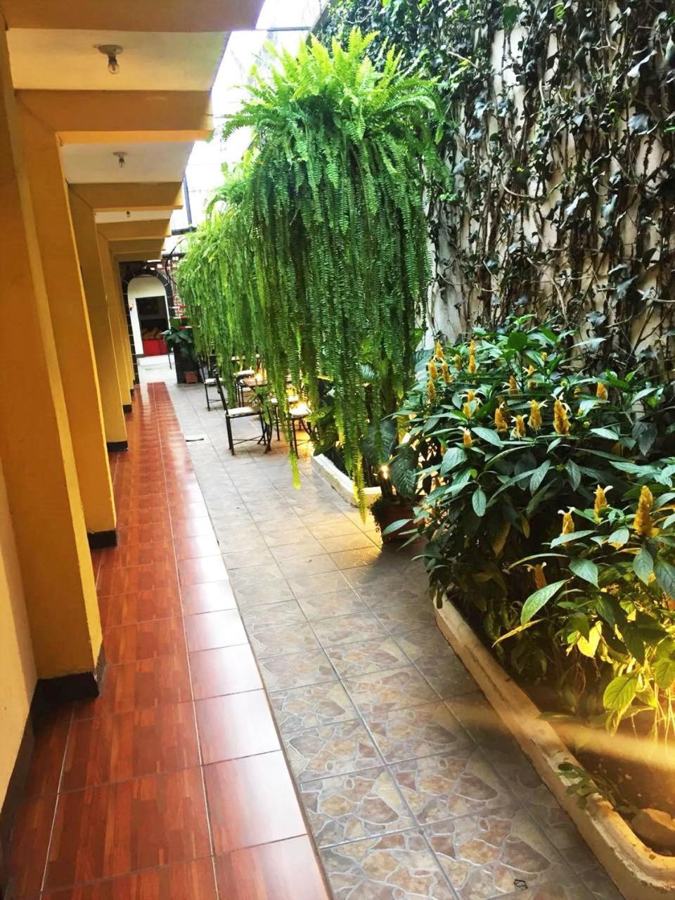 Hostal Antigua *
